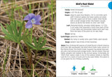 Wildflowers of Carolinas FG 2e