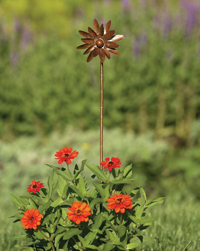 4" Zinnia Spinner
