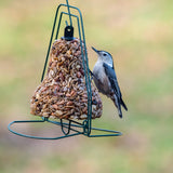 Bugs, Nuts & Fruit – Bell