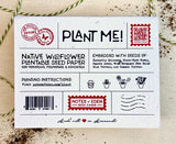 Bluebirds “Seedz” Seed Card Wildflower Mix