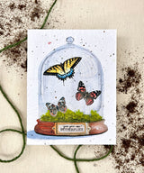 "You Give Me Butterflies" Seed Card Native Wildflowers