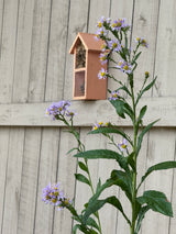 Dual Chamber Insect House