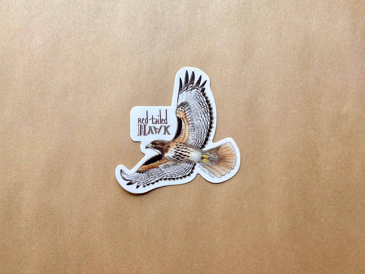 Red-tailed Hawk Sticker
