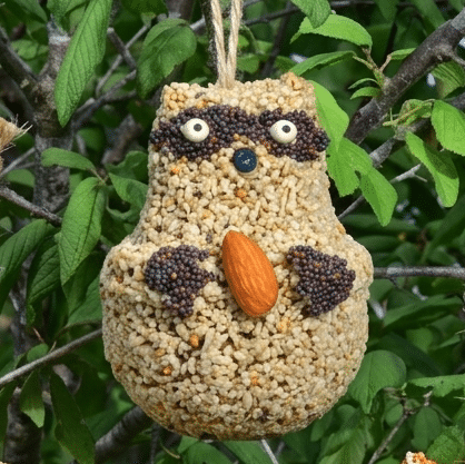 Woodland Friends-Raccoon
