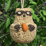 Woodland Friends-Raccoon