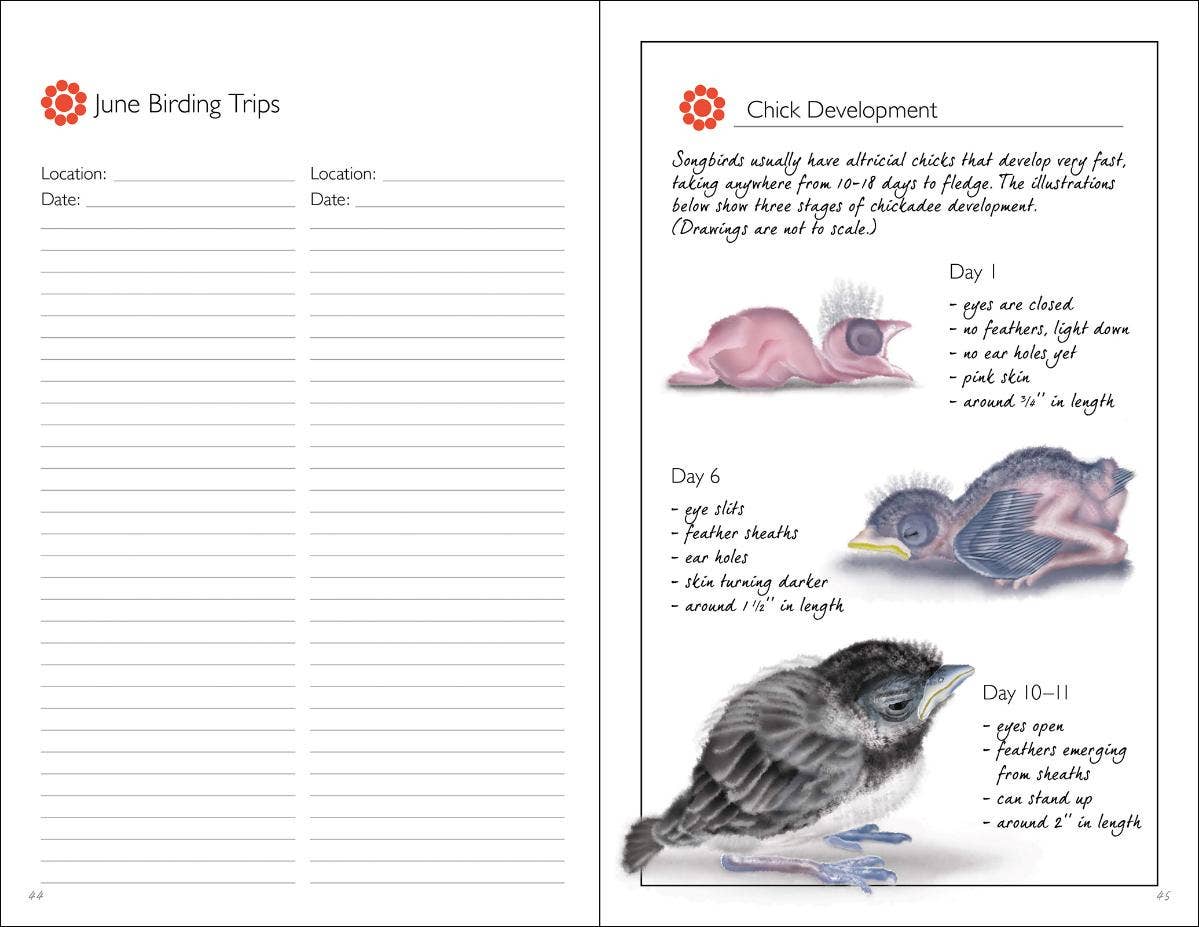 Birding Journal