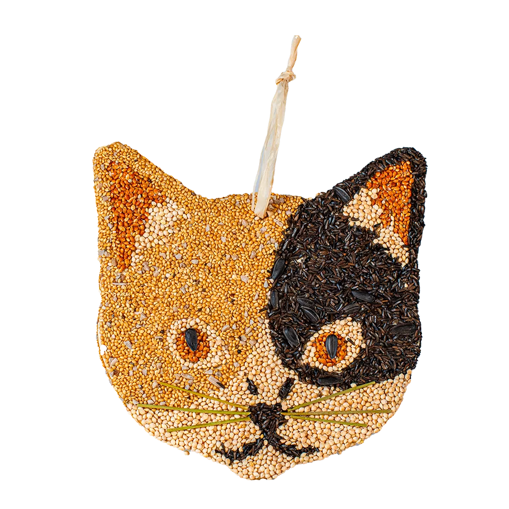 Cat Cookies