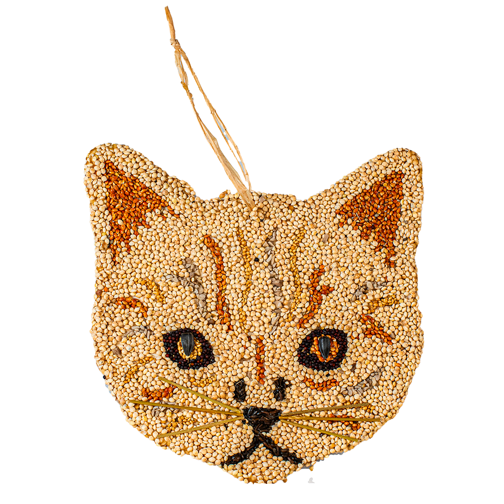 Cat Cookies