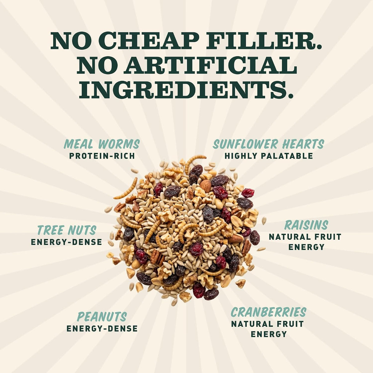 Bugs, Nuts, & Fruit Cake - Small