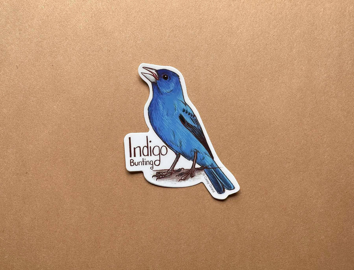 Indigo Bunting Sticker