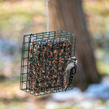Woodpecker Feast Cake – Small