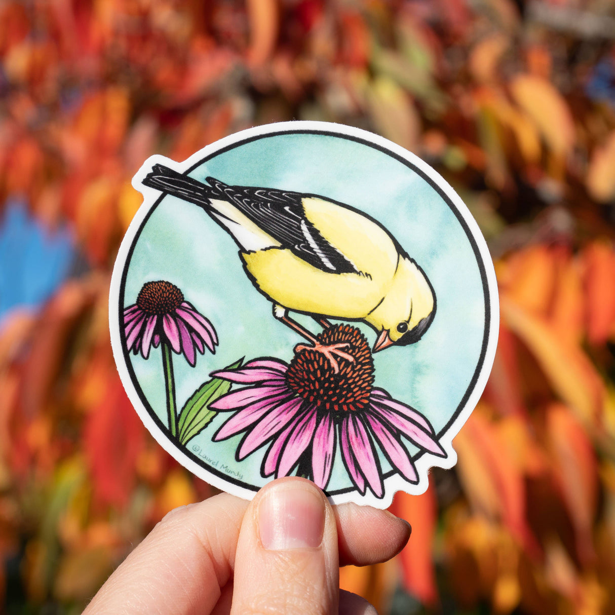 Goldfinch on Coneflower Sticker