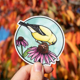 Goldfinch on Coneflower Sticker