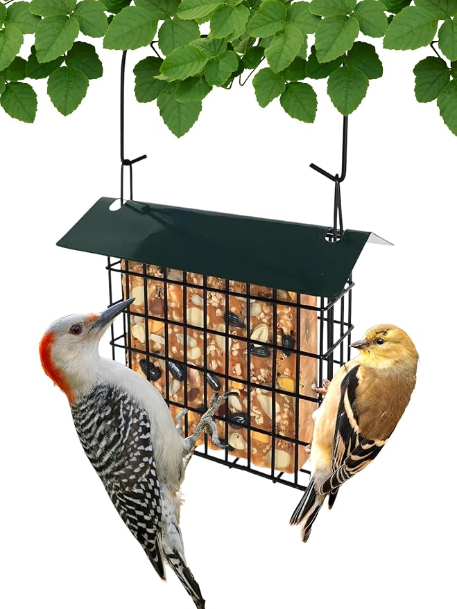 Green Single Suet Feeder with Roof