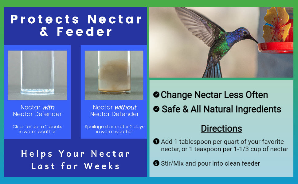 Hummingbird Feeder Fresh Nectar Defender