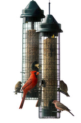 Squirrel Buster Classic