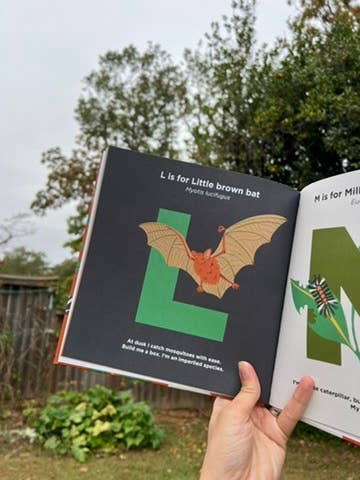 Wild Things of the Upstate | Children's Nature Alphabet Book
