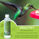 Hummingbird Feeder Fresh Nectar Defender