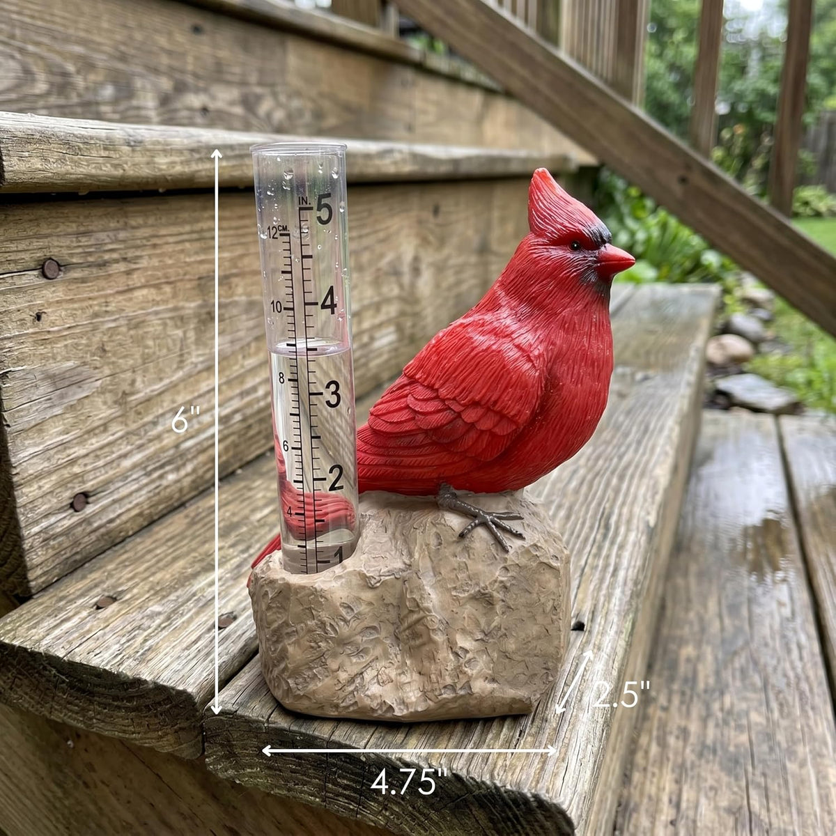 Cardinal Rain Gauge