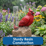 Cardinal Rain Gauge