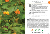 Wildflowers of Carolinas FG 2e