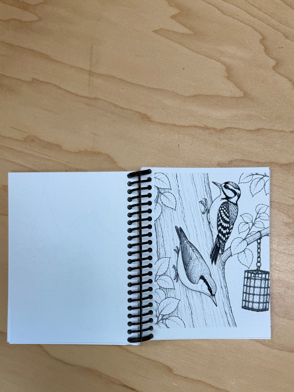Little Birds & Blooms