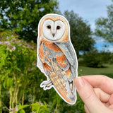 Barn Owl Sticker