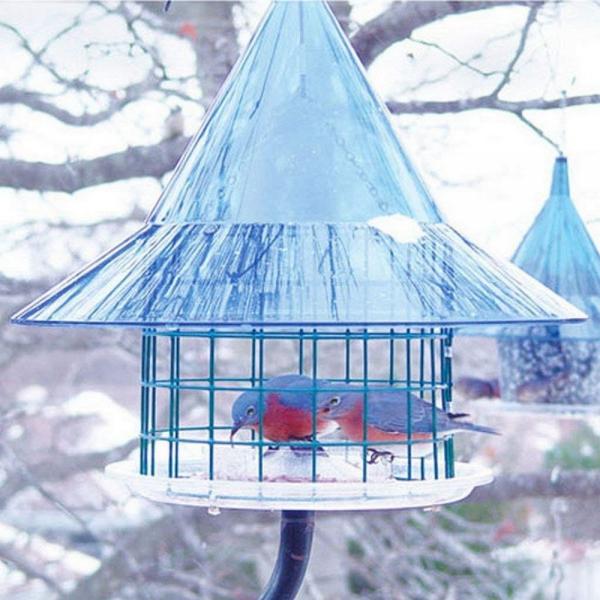 Arundale Sky Café with cage for mealworms