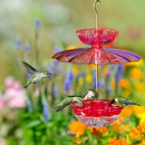 HummBlossom Accessory Kit (Dome/Ant moat)