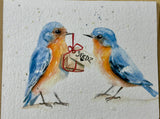 Bluebirds “Seedz” Seed Card Wildflower Mix