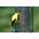 Squirrel Buster Finch Feeder