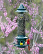 A green Brome Squirrel Buster Plus bird feeder with a seed tube, perched on a blurred background of pink flowers.