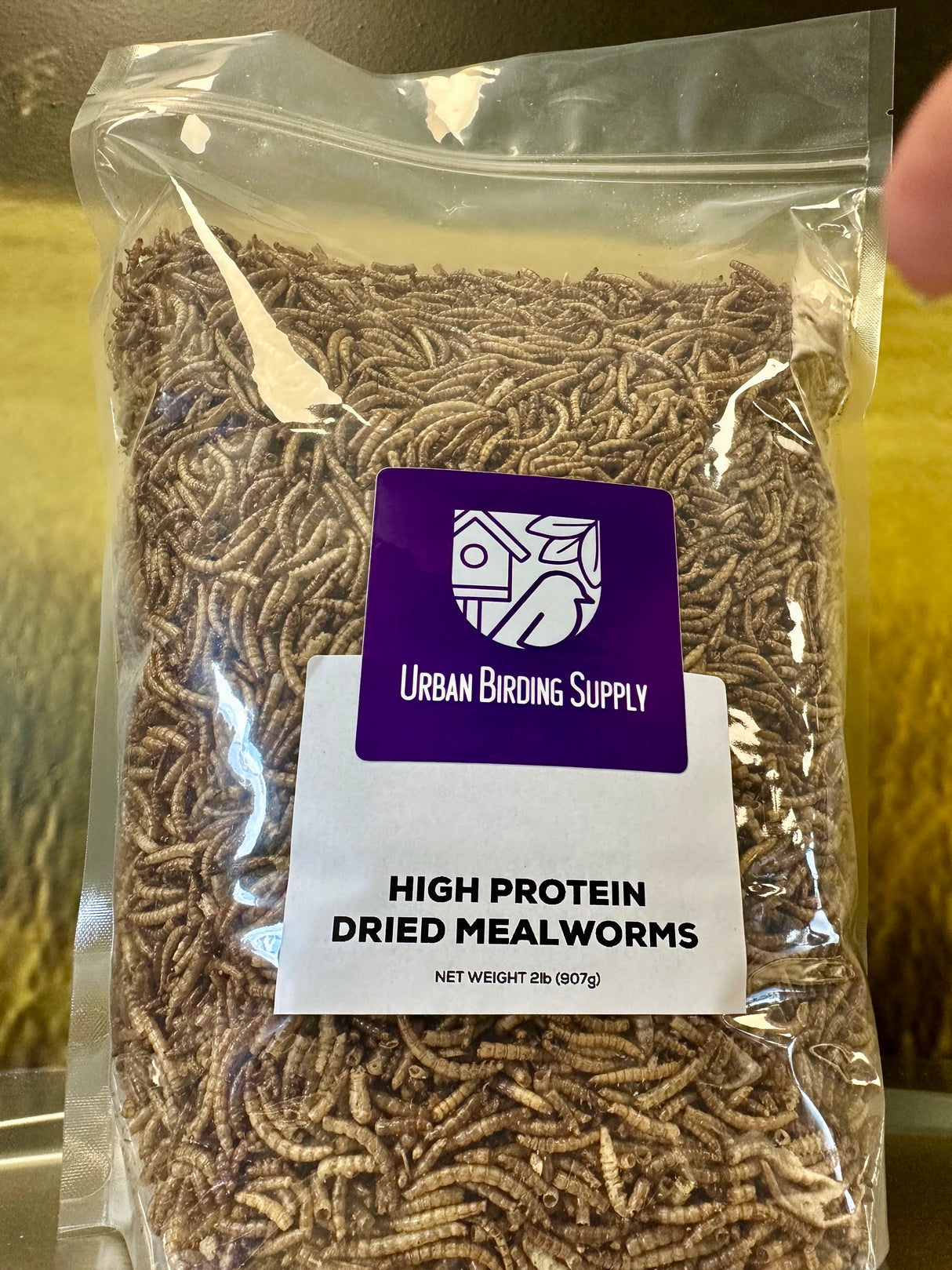 Dried Mealworms - 2Lb
