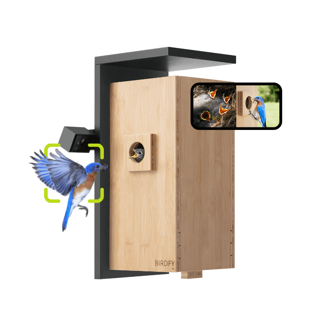 Birdfy Dual Camera Nesting Box