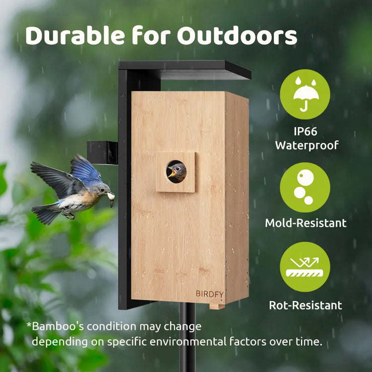 Birdfy Dual Camera Nesting Box
