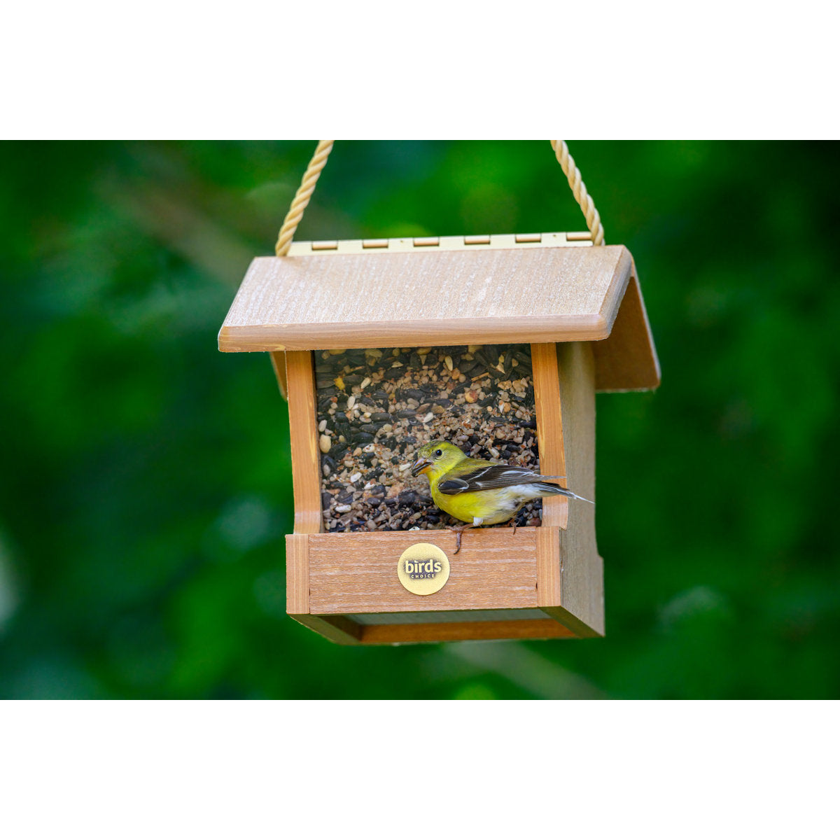 Modern Farmhouse Small Hopper Feeder in Natural Teak