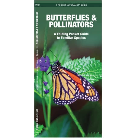 Butterflies and Pollinators A Folding Pocket Guide to Familiar Species