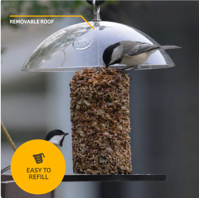 Clear Dome Seed Cylinder Feeder