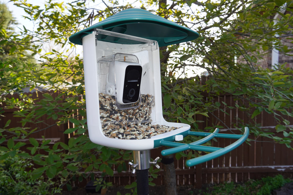 BeakView Bird Feeder Camera