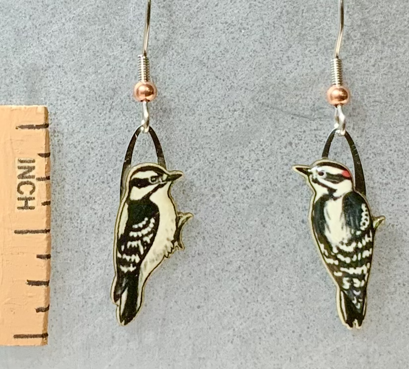 Downy Woodpecker Earrings