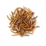 Dried Mealworms - 11Lb