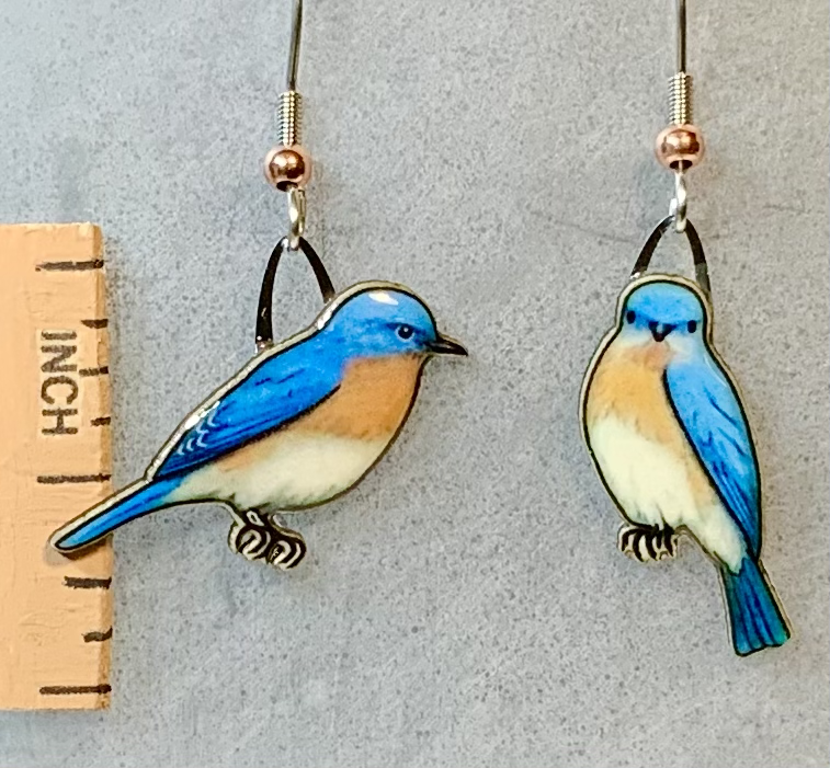 Eastern Bluebird Earrings