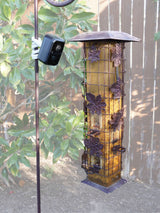 Feather Cam