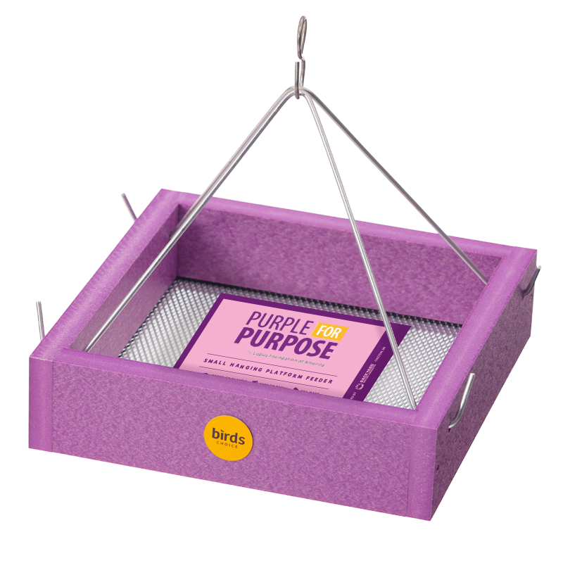 Small Purple Hanging Tray Bird Feeder