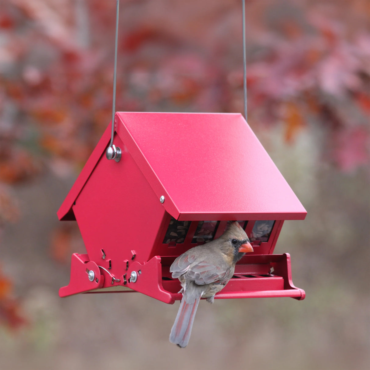 Heritage Farms Mini Absolute II Squirrel-Resistant Bird Feeder