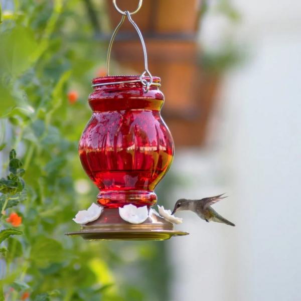 Ruby Visions Antique Glass Hummingbird Feeder 25oz