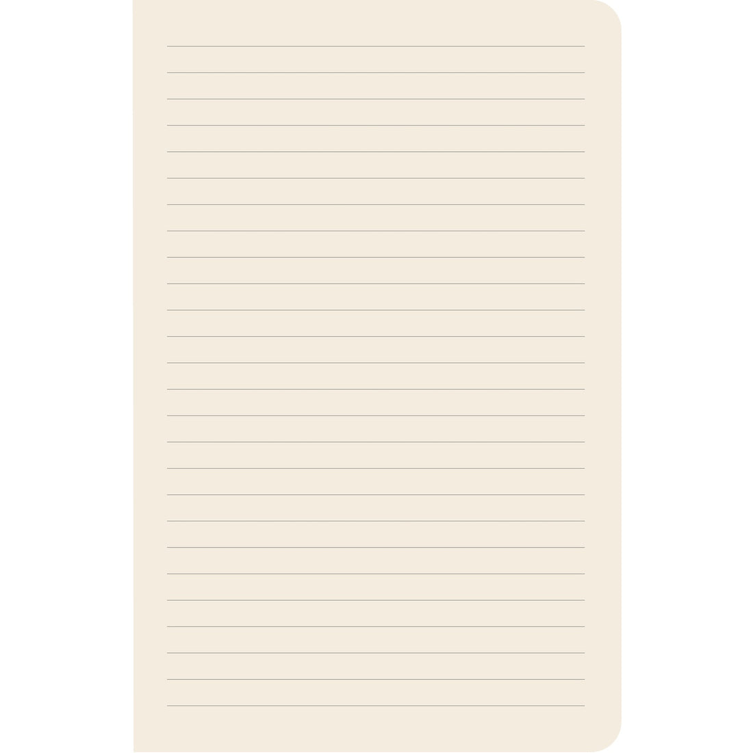 Hummingbirds Notebook
