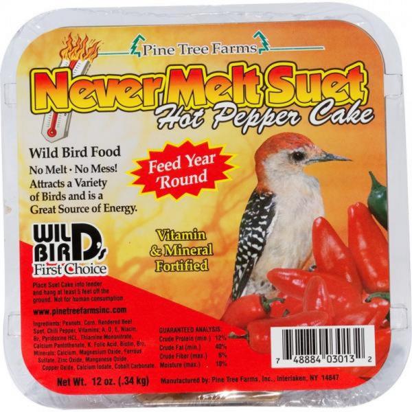 Never Melt Suet Peanut 12 oz