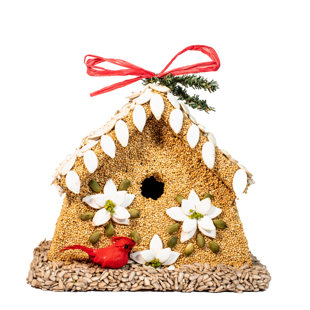 Pointsettia House