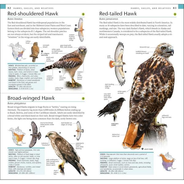 Pocket Birds of North America Eastern Region